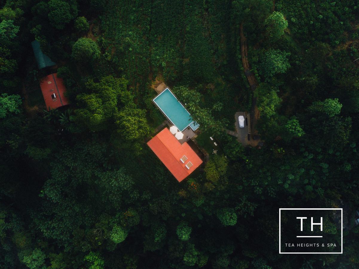 Tea Heights Hotell Kandy Exteriör bild